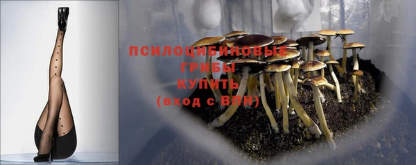 крисы Семёнов