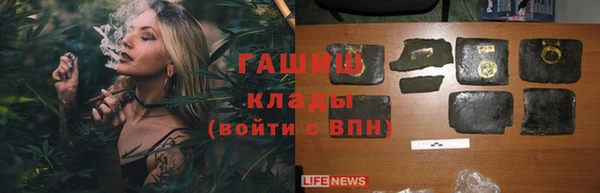 ГАЛЛЮЦИНОГЕННЫЕ ГРИБЫ Бородино