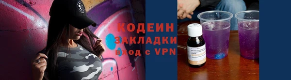 ГАЛЛЮЦИНОГЕННЫЕ ГРИБЫ Бородино