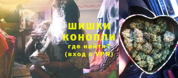 ГАЛЛЮЦИНОГЕННЫЕ ГРИБЫ Бородино