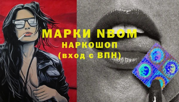 ГАЛЛЮЦИНОГЕННЫЕ ГРИБЫ Бородино